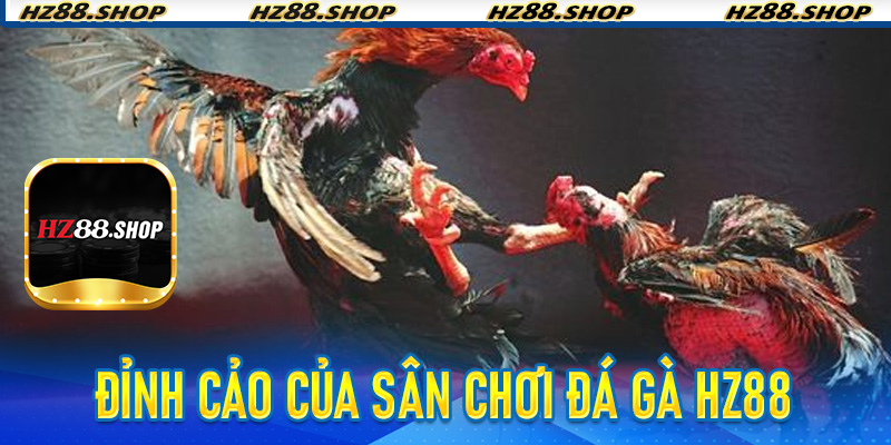 Đá Gà Hz88